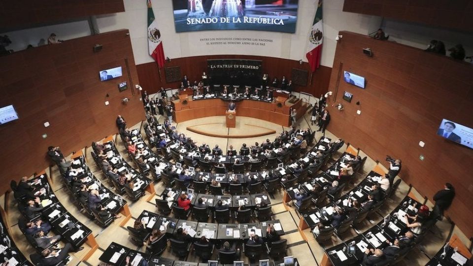 Para principios del 2023 se realizará la elección extraordinaria.