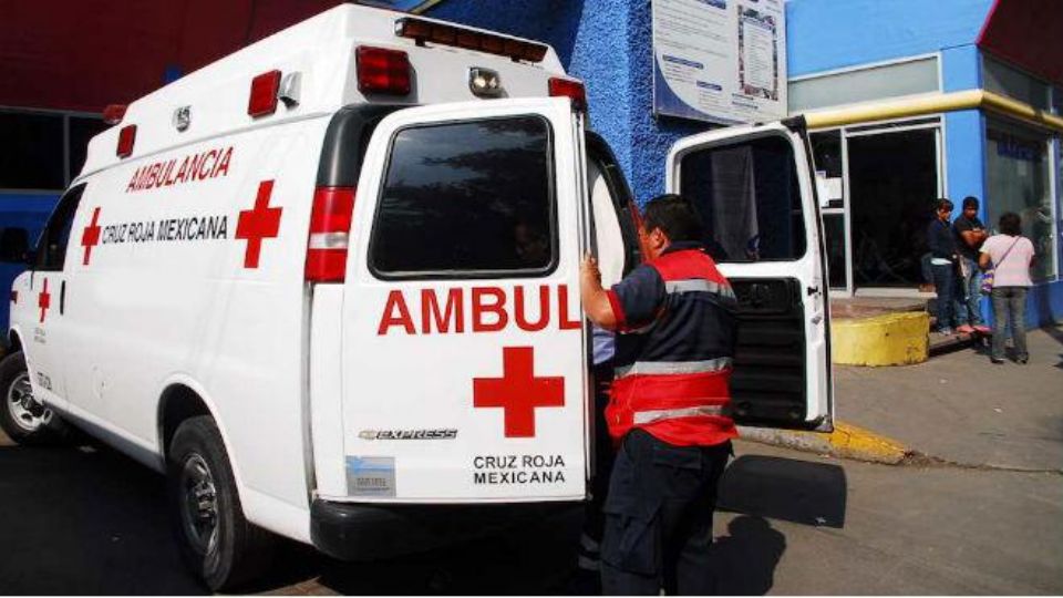 La madre de la chica, de apenas 21 años, se dirigió hasta su casa para salvarla