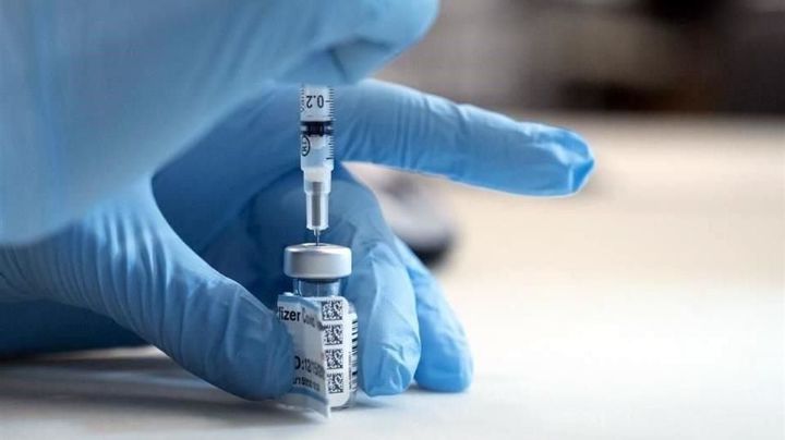 Detectan venta de vacunas anticovid Pfizer falsas en una clínica de Nuevo León