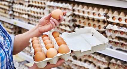 Emiten alerta sanitaria por huevos contaminados con salmonela; ¿donde fueron vendidos?