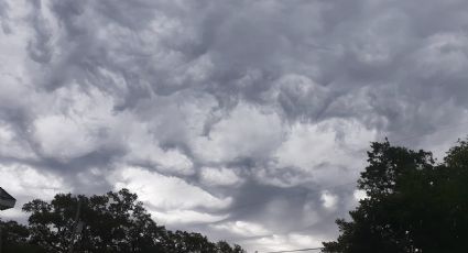 Clima Nuevo Laredo: ¿a qué hora lloverá hoy?; este es el pronóstico