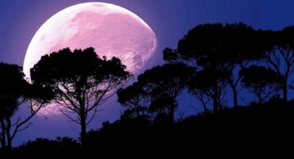 Donde y a qué hora ver el ECLIPSE LUNAR más largo del siglo