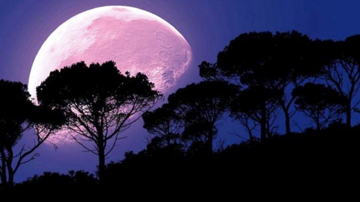 Donde y a qué hora ver el ECLIPSE LUNAR más largo del siglo