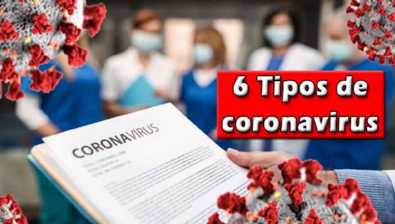 Científicos descubren 6 diferentes tipos de coronavirus con síntomas