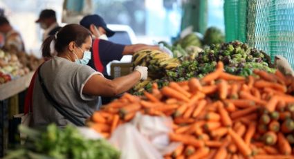 ¡A la baja! Tasa anual de inflación registra un 8.14% en la primera quincena de noviembre