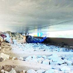 SE AVIENTA AL TREN Y LO MATA