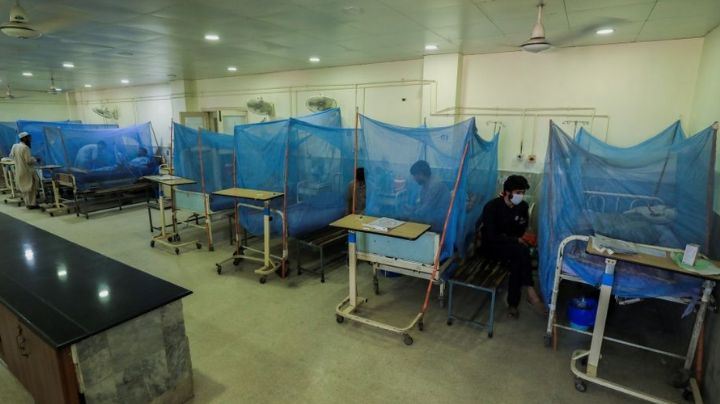 ¡Ya basta! Confirman brote de fiebre amarilla en Venezuela