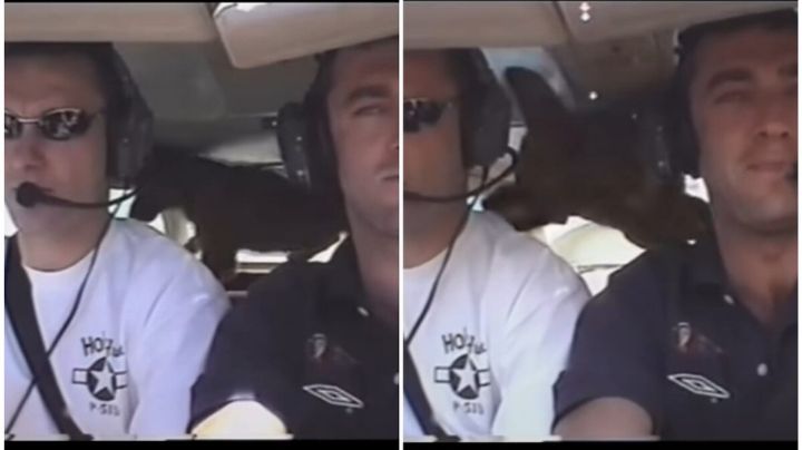 (VIDEO) ¡Parece que vuela! Perrito flota por unos segundos  por un descuido adentro de una avioneta