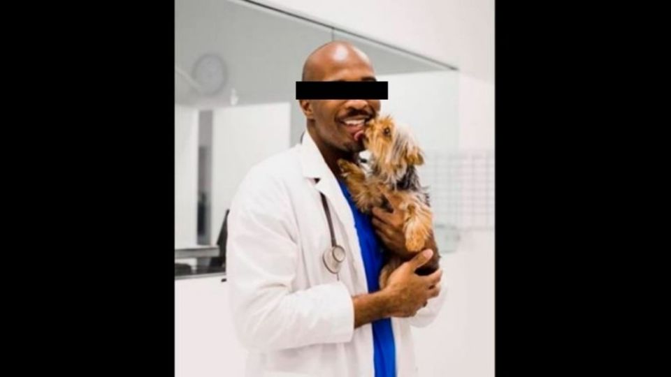 El doctor, quien desempeñaba su función en Caring Hands Animal Hospital, se declaró culpable de los delitos mencionados