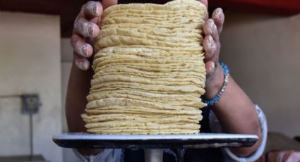 Después del aumento de precio; Tamaulipas uno de los estados con las tortillas más caras del país.