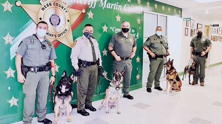 Busca división canina de perros adiestrados de Webb ganar competencia