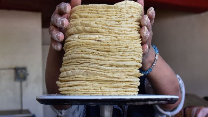 Después del aumento de precio; Tamaulipas uno de los estados con las tortillas más caras del país.