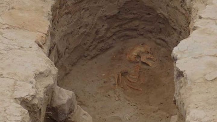 Encuentran 29 cuerpos humanos con más de mil años de antigüedad en Perú