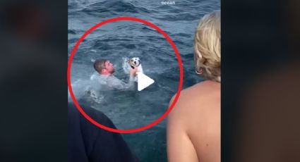 VIDEO VIRAL: Rescatan a perrito nadando en mar de Florida