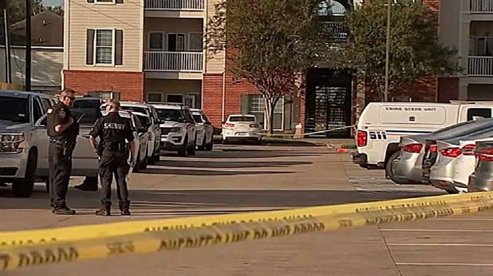 ¿Cómo sobrevivieron los niños que durmieron junto al cadáver de su hermanito más de un año?