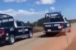 (Video) Policías juegan a los arrancones a bordo de sus patrullas,