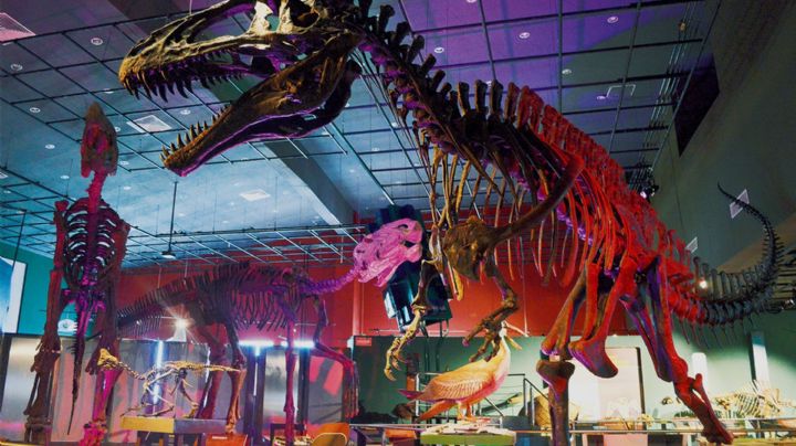 Festejan Día del Niño en museos del Centro Cultural de Nuevo Laredo