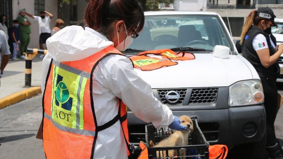 Fue la Procuraduría Ambiental y del Ordenamiento Territorial quien consiguió la primera sentencia