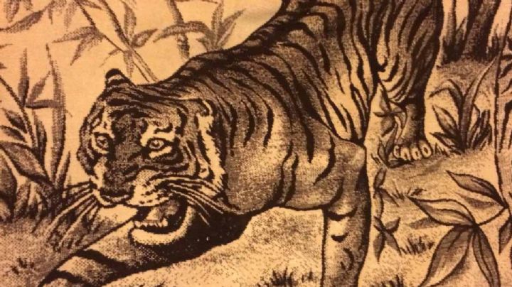 ¿Tienes una cobija de tigre San Marcos? Cuídalo mucho, podría valer millones en un futuro