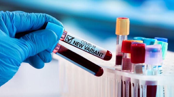 Más que ola, variante Ómicron podría causar un 'maremoto' de contagios en EU: científicos