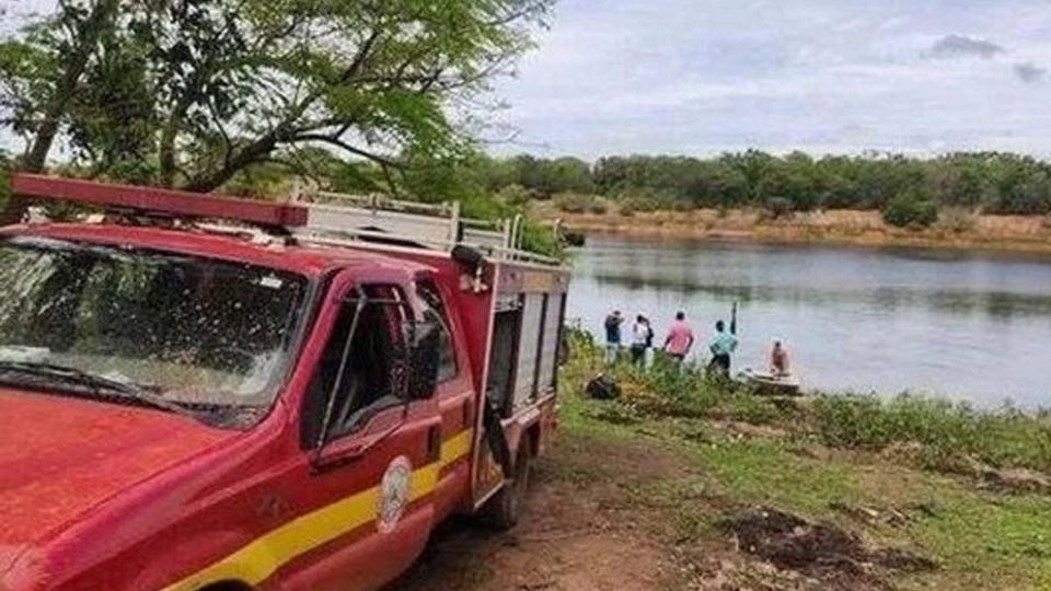 Según informan medios locales, los tres hombres saltaron al agua en su intento por escapar del ataque de las abejas