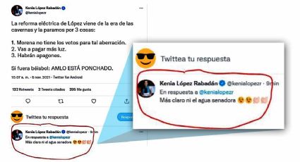 Senadora panista olvida cambiarse a su perfil falso de Twitter y solita se  "echa flores"