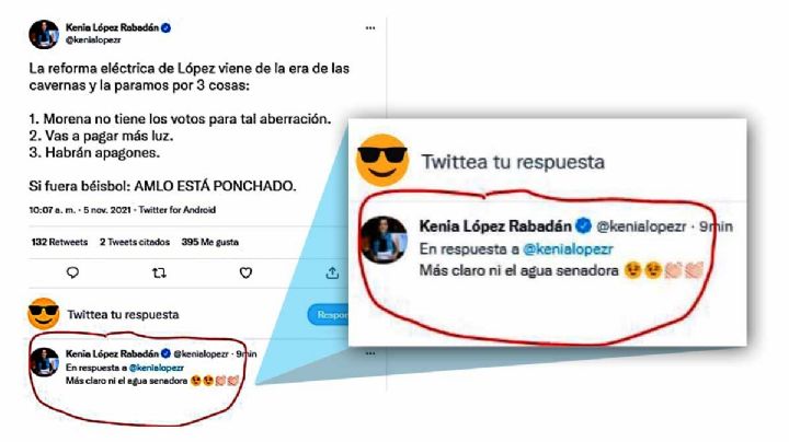 Senadora panista olvida cambiarse a su perfil falso de Twitter y solita se  "echa flores"
