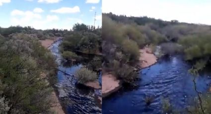 VIDEO: “Desastre ecológico” río de petróleo se forma en Argentina tras derrame