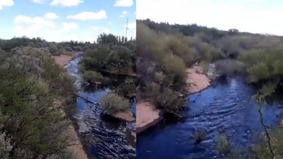 El usuario grabó la escena para denunciar públicamente el mencionado atentado contra el medio ambiente