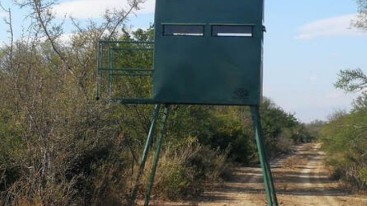 Hombre acusado de disparar contra parapeto ocupado por dos hermanos, queda libre de cargos