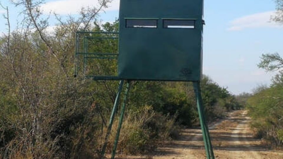 Par de cazadores furtivos acusaron a un hombre de dispararles varias veces mientras estaban en el parapeto de cacería de venado dentro de un rancho, al que ingresaron sin permiso, el juez desestimó el caso, el señalado se fue sin cargos.