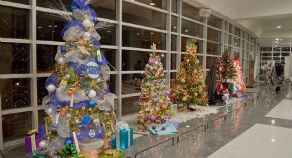 Celebrarán en Centro Cultural con muestra de pinos navideños