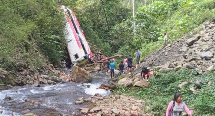 FOTOS: Autobús cae por un precipicio en la Amazonía; van 12 muertos