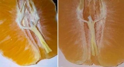 MILAGRO... Hombre asegura que Cristo se le apareció en una mandarina