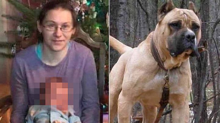 Mamá salva a su hijo de 4 años del ataque de un pitbull pero muere por las heridas