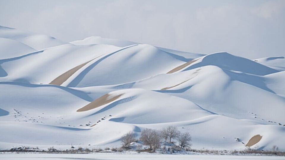 La nevada transformó en un paraíso invernal las dunas de arena