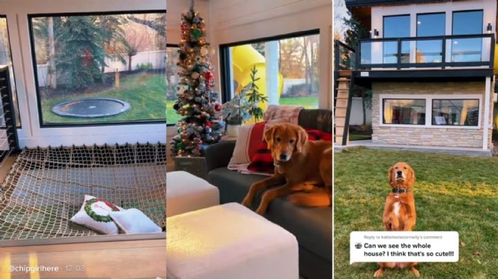 ¡Que envidia! Este perrito tiene mejor casa que todos nosotros (VIDEO)