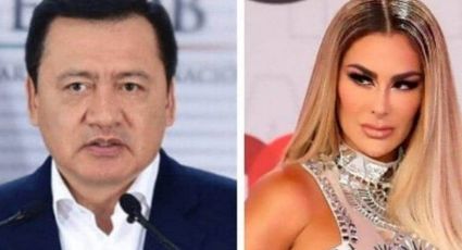 IMPACTANTE: Revelan que Ninel Conde tuvo relación con Osorio Chong