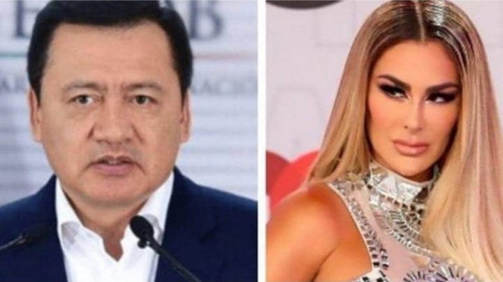 IMPACTANTE: Revelan que Ninel Conde tuvo relación con Osorio Chong