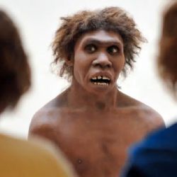 ¿Sobreviviste al covid? Tal vez debas agradecer a tus antepasados neandertales
