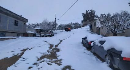 Llega Frente Frío 25 y Tercera Tormenta Invernal: ¿en qué estados caerá nieve y habrá lluvia?