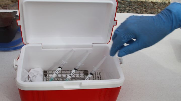 Más de 15 mil mdp pagó México para la compra de vacunas contra el Covid: Hacienda