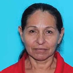 VIDEO #viral: Osa para el tráfico para poder cruzar a sus oseznos