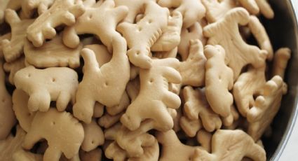 ¿Galletas de animalitos incitan al maltrato? veganos piden prohibirlas