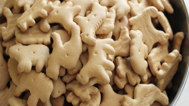 ¿Galletas de animalitos incitan al maltrato? veganos piden prohibirlas