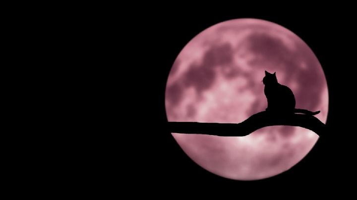 Superluna Rosa de abril: horario y cómo ver la luna más grande y brillante del año
