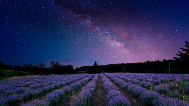 Lluvia de estrellas Líridas: hoy podrás disfrutar de este espectáculo desde México