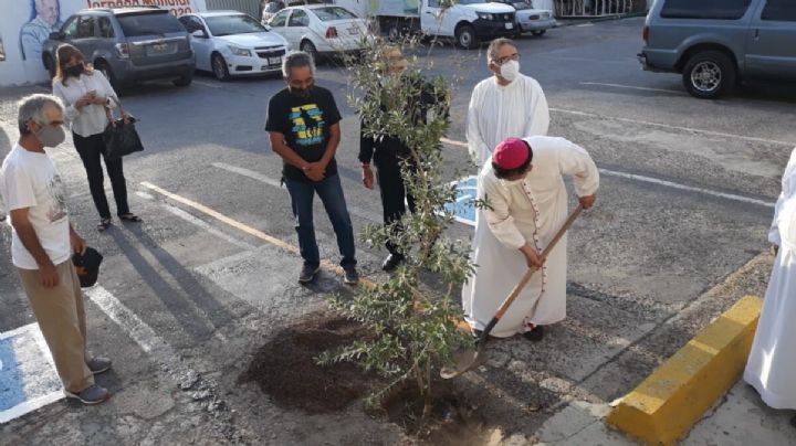 Diócesis colabora con la Tierra; planta árbol