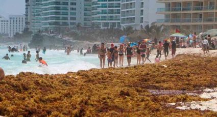 Se llenan de sargazo playas de Quintana Roo