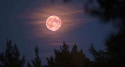 SUPERLUNA ROSA ABRIL: No olvide mirar el cielo hoy, te decimos la hora precisa